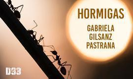 Hormigas