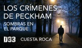 Los crímenes de Peckham: Sombras en el Parque