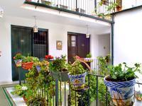 Hostel low cost con encanto en Sevilla