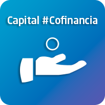 Capital