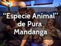 "Especie Animal" de Pura Mandanga